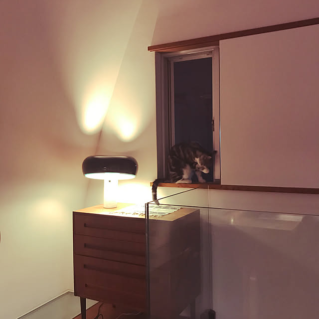 Thenさんの部屋