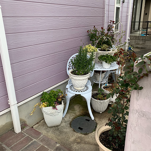 AYUKOさんの実例写真