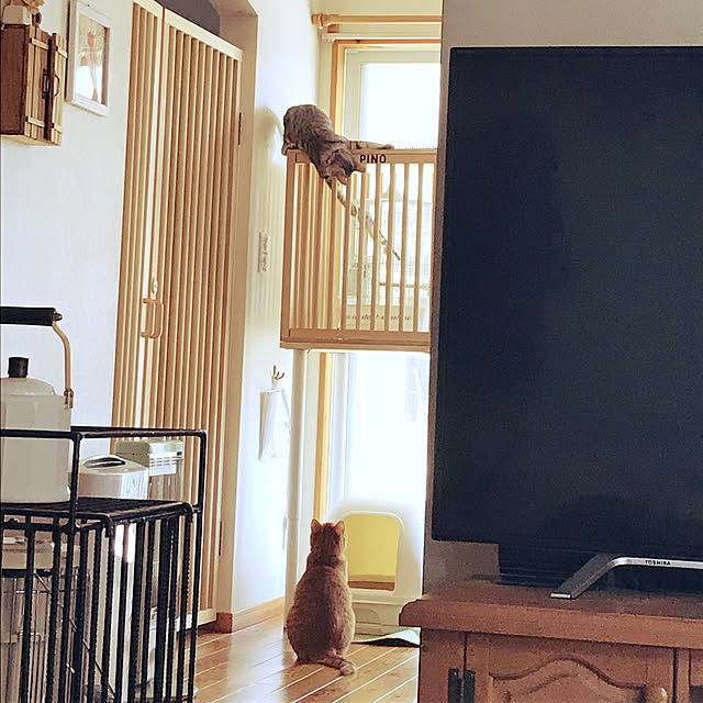 mako0301さんの実例写真