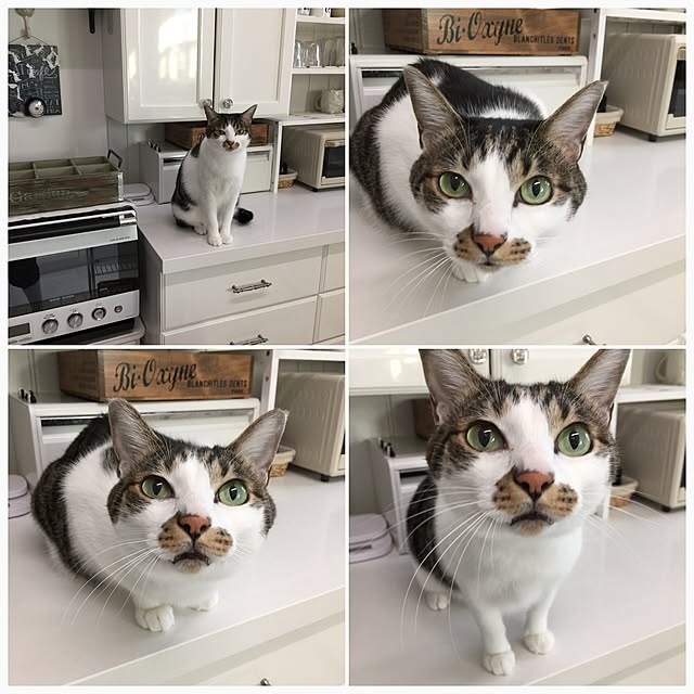 yuchiさんの実例写真