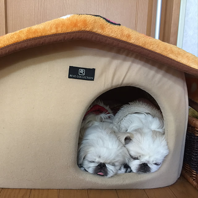peko226さんの実例写真