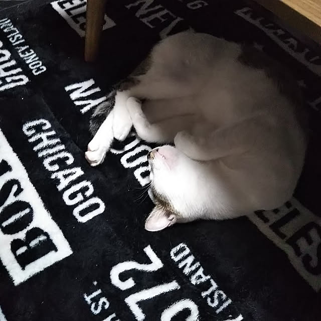 me_ta_815さんの実例写真