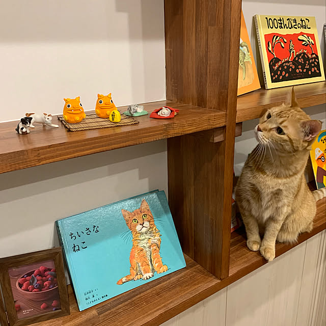 mikeume7さんの実例写真