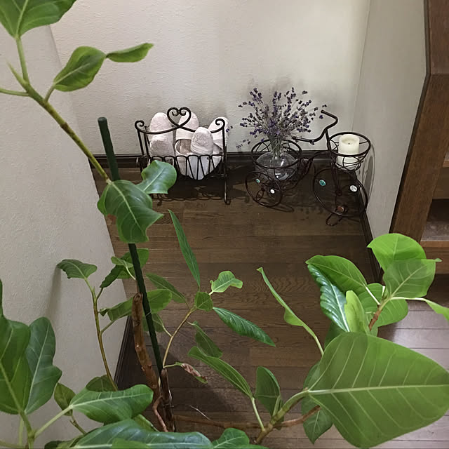 Teresa.babaさんの実例写真