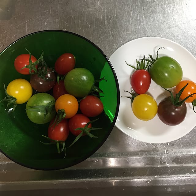 greenroseさんの実例写真