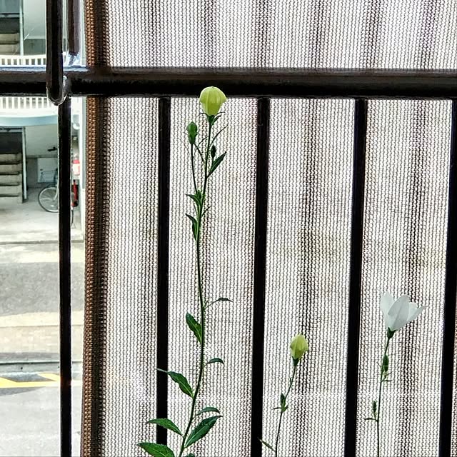 mi-saさんの部屋