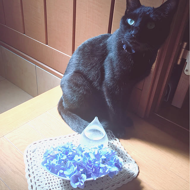 nonoさんの実例写真
