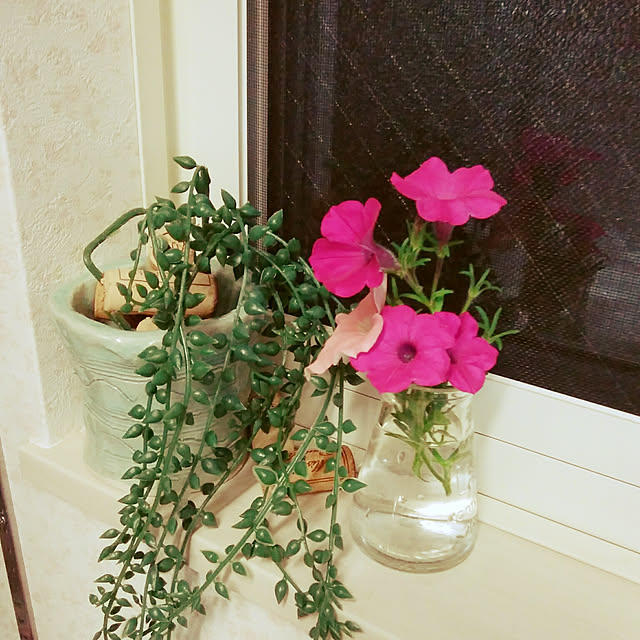 maikoronnさんの実例写真