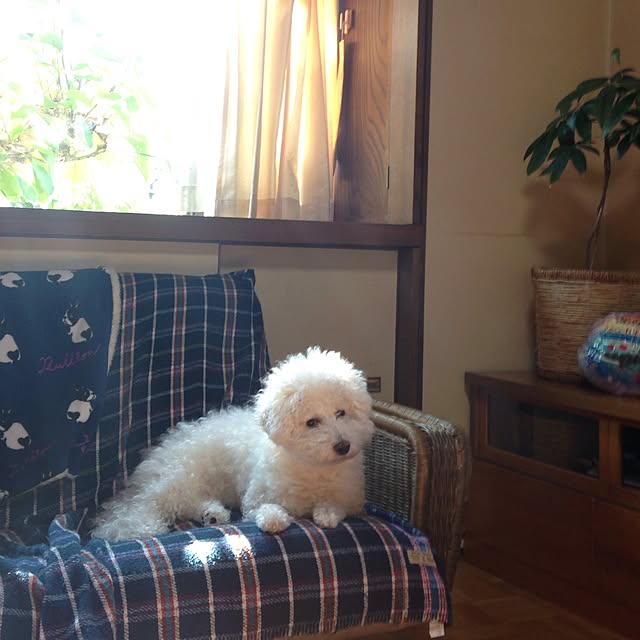 OHISAMAさんの実例写真