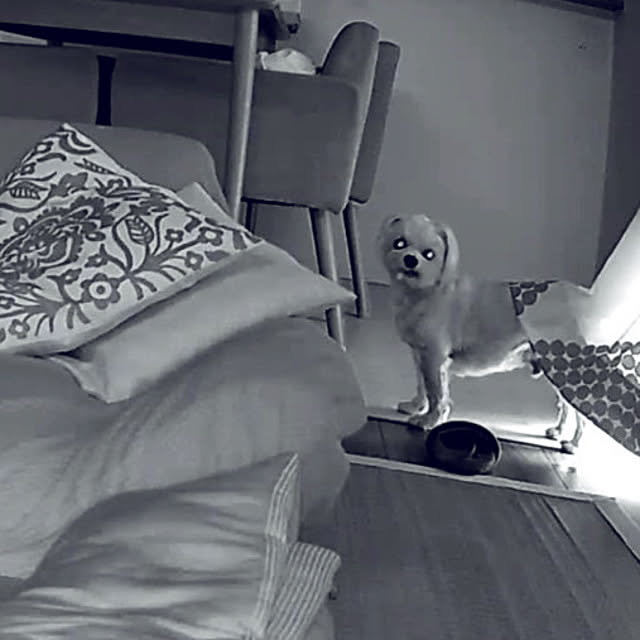 seiさんの部屋