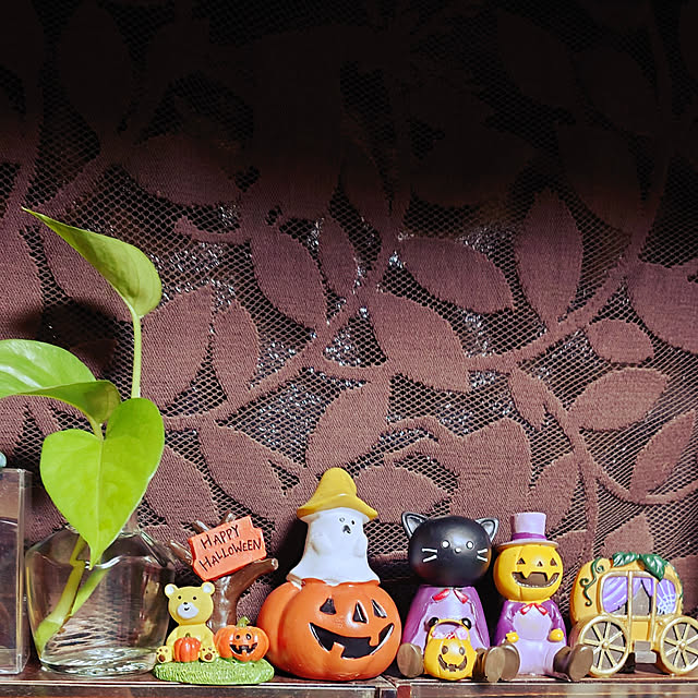kazukoさんの実例写真