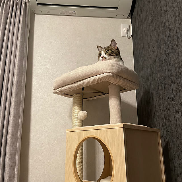 maimaiさんの実例写真
