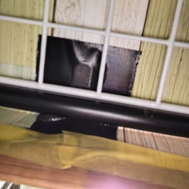 petichoさんの部屋
