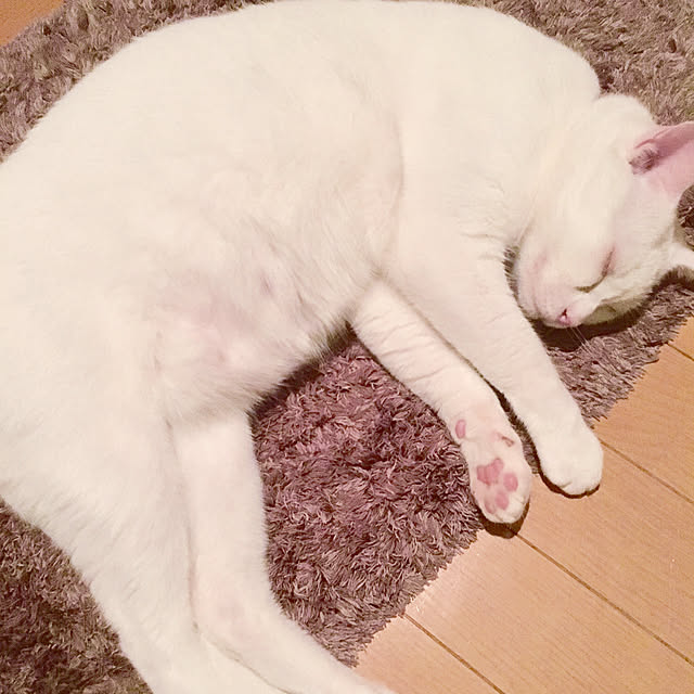 yucoさんの実例写真