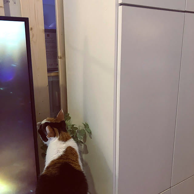 kanaさんの部屋