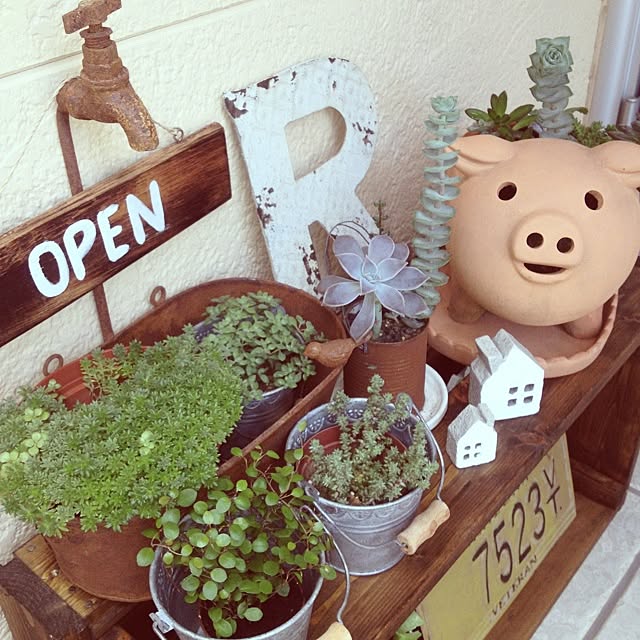 Sachuさんの実例写真
