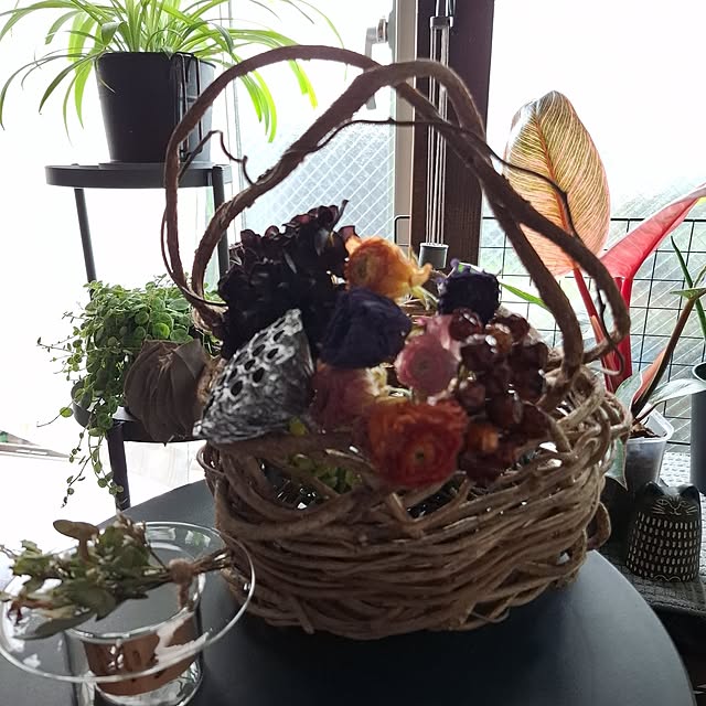noaさんの実例写真