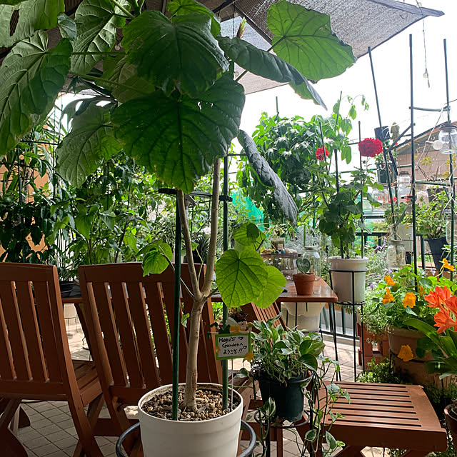 Aqettyさんの部屋
