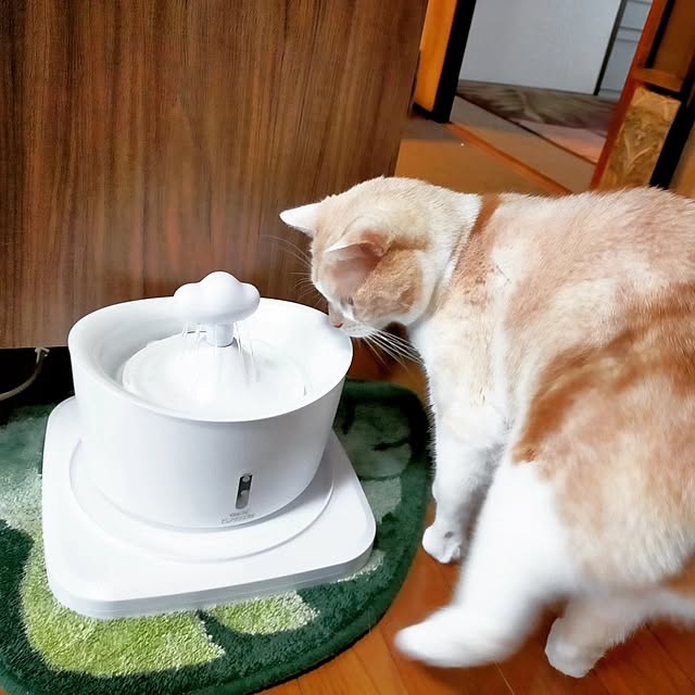 kobakissaさんの実例写真