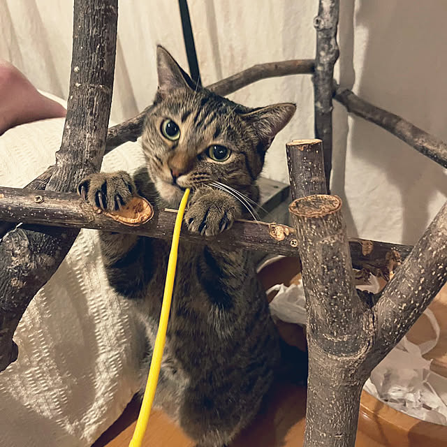 Mさんの実例写真