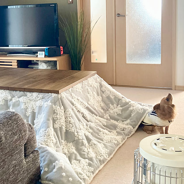chachamamaさんの部屋