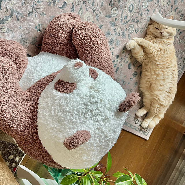 naokoさんの実例写真
