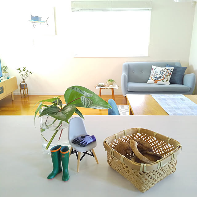 Haさんの実例写真