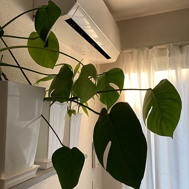 H.Tさんの部屋