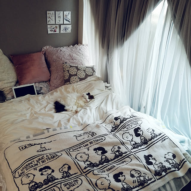 muuさんの実例写真
