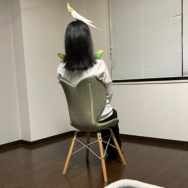 toratanさんの部屋