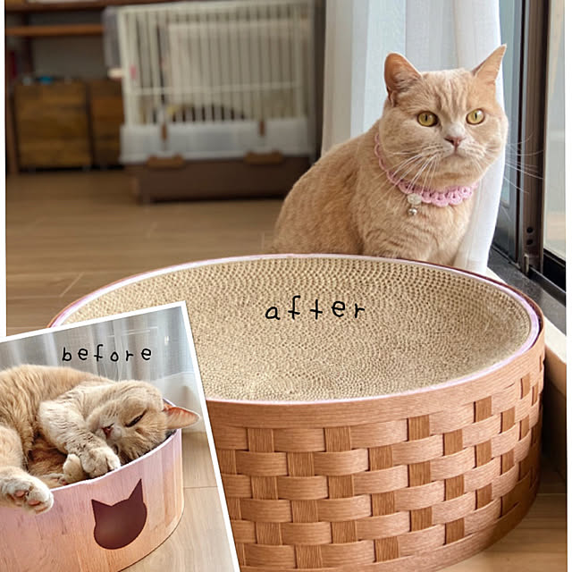 tomoさんの実例写真