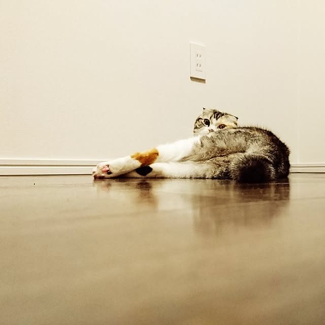 Sachiさんの実例写真