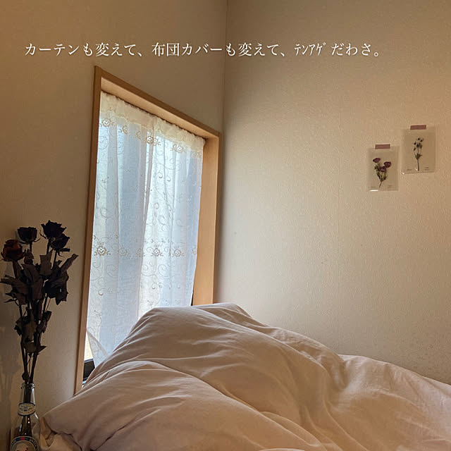shosinshaさんの実例写真