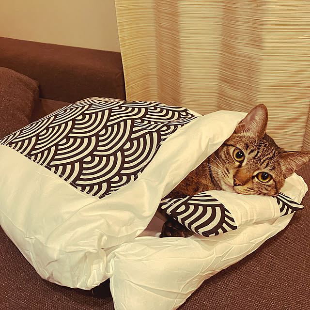 machaさんの実例写真