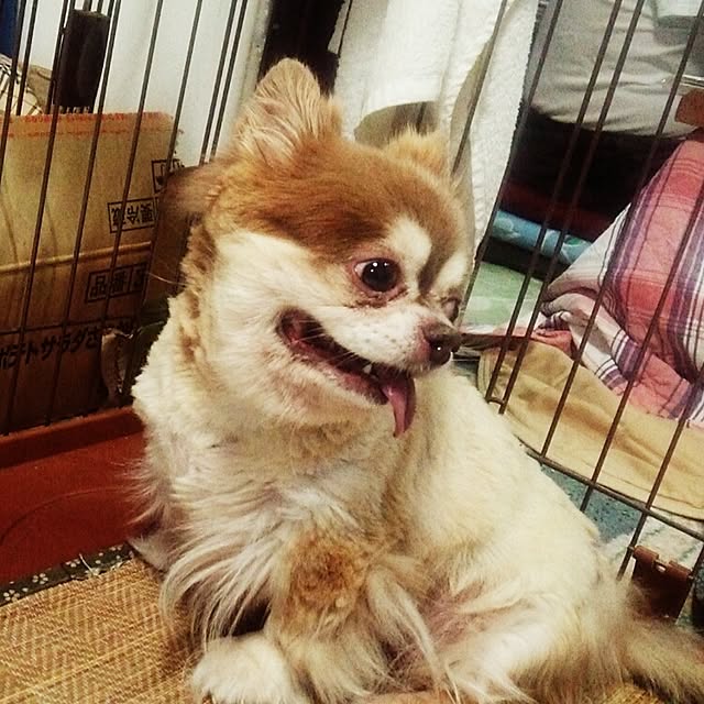 Yukariさんの実例写真