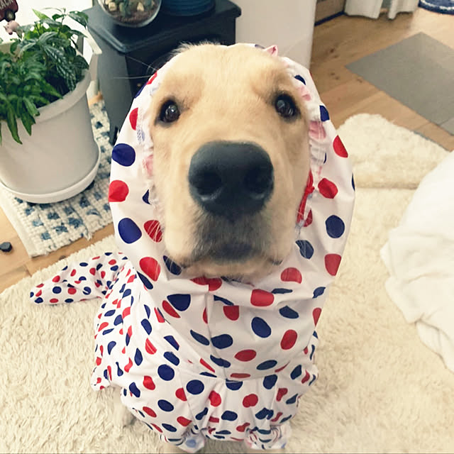 marinkoさんの実例写真