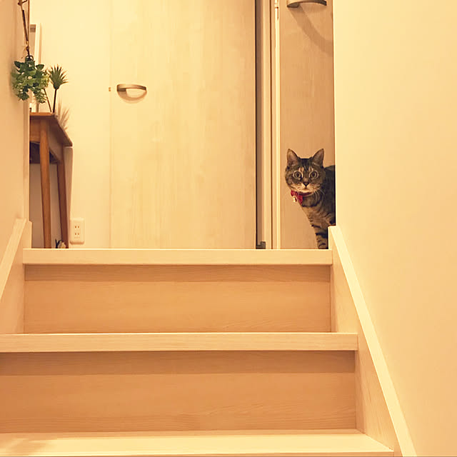minminさんの実例写真