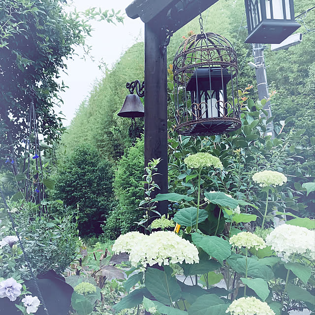 soraさんの実例写真