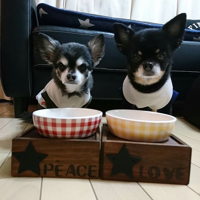 lovepeaceさんの実例写真
