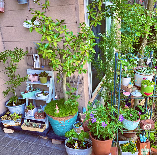 takakoさんの部屋