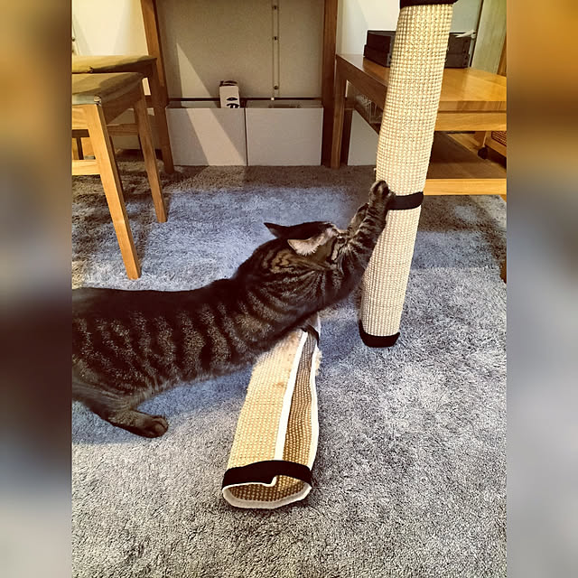 hihaさんの実例写真