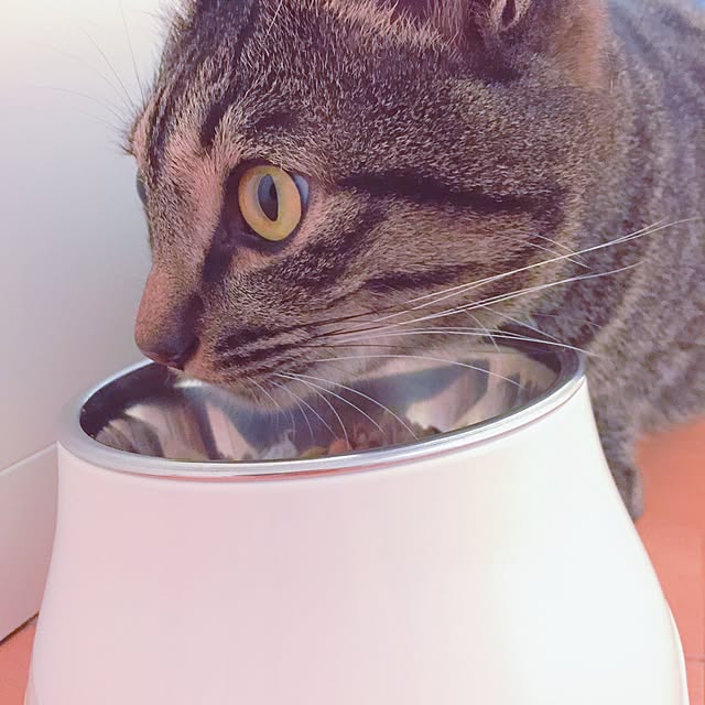 nyan.73さんの実例写真