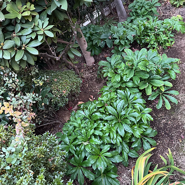 mamizaさんの部屋