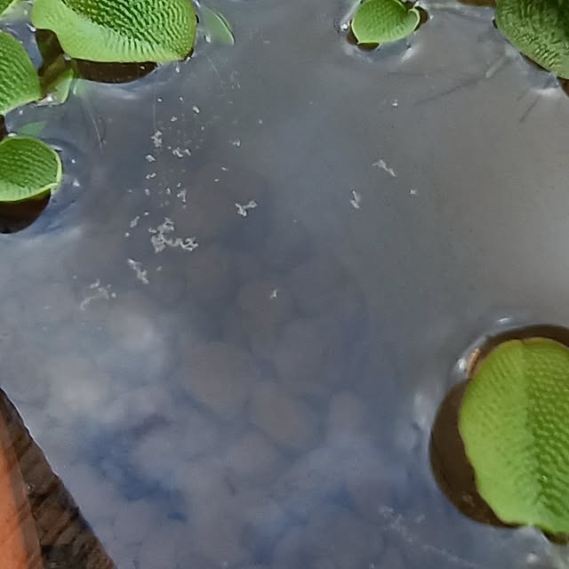 soyokoさんの実例写真