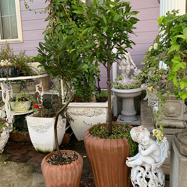 AYUKOさんの実例写真