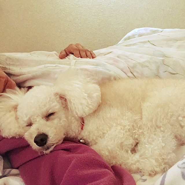 Thessさんの実例写真