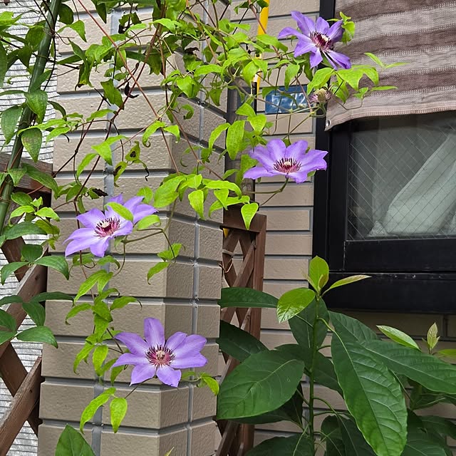 mitsuyama3136さんの部屋