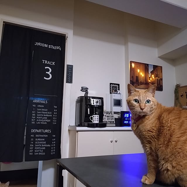 NOAHさんの実例写真