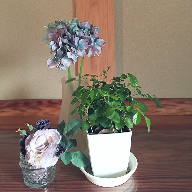 mamyuさんの実例写真