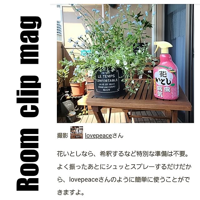 lovepeaceさんの実例写真